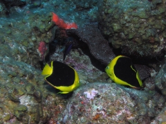P4080193