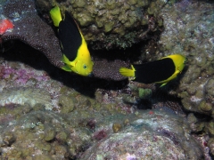 P4080194