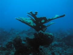 P4080198