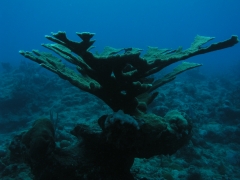 P4080199