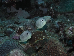 P4080499