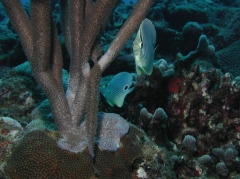 P4080500