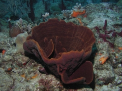 P4080509