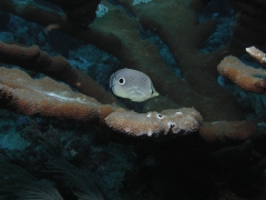 P4080516