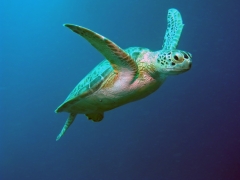 P4090050