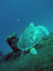 P4090052