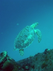 P4090053