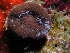 P4100147