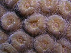 P4100148