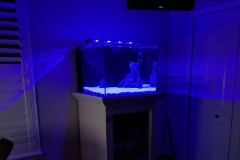 20190914 202452  Blue 'night' mode. Still waiting for filter to cycle....