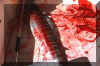 carnage.jpg (178667 bytes)