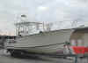 mir29.jpg (30296 bytes)