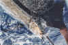sail1a.jpg (67830 bytes)